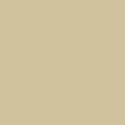 2 x 2  81D Light Balancing Filter