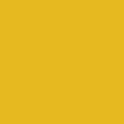 2 x 2  85C Color Conversion Filter
