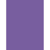 4 x 5.65  3 Plum Solid Color Filter