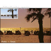 A163 Pola Color Yellow Glass Filter