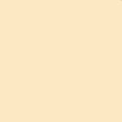 4 x 4  1 Coral Solid Color Filter