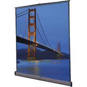 76174 Floor Model C Manual Front Projection Screen (6x8 )