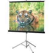 216004 Consul Portable Tripod Screen  (70 x 70 )
