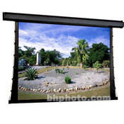 101171 Premier Motorized Front Projection Screen (60 x 60 )