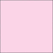 GC109  GamColor #109 Naked Pink (20x24  Sheet)