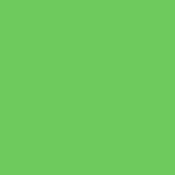 CalColor #4460 Filter   Green (2 Stop)   48 x25  Roll