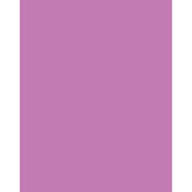 3 x 4  CC50M Magenta Filter