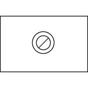Intenscreen for Nikon F5   Matte with Diagonal Split Image