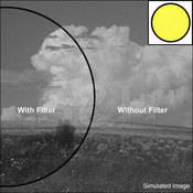 43mm #8 Yellow (022) Filter