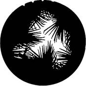 Standard Steel Gobo #7282   Dense Palm   Size A 100mm