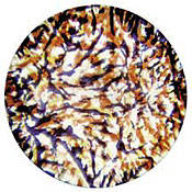 Glass Gobo #56203 (Red, Lavender, Yellow) (Size B = 86mm)