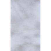 #038 Muslin Background (10x12 , White, Light Gray)