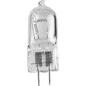 300 Watts 120V Modeling Lamp for Primo, Primo 4, Pulso G, Minipuls C (DRA)
