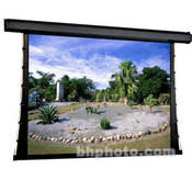 101201 Premier Motorized Front Projection Screen (9 x 12 )