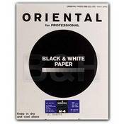 Seagull Black & White Graded #4 RC (Resin Coated) Matte Paper   8 x 10 (100 Sheets)