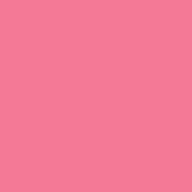 GC160  GamColor #160 Chorus Pink (20x24  Sheet)