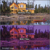 5 x 6  2 Grape Solid Color Filter