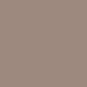 2 x 2  81B Light Balancing Filter