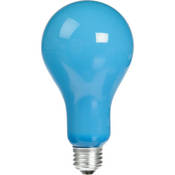 EBW Lamp (500W 120V)