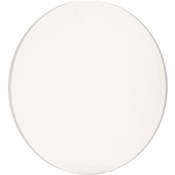 Diffused Glass Only for Pro and i Light   fits Accessory Holder iP 30