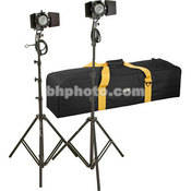 DV Pro light Two Light Kit