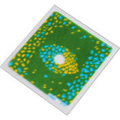 P674 Blue Yellow Bi Color Center Spot Resin Filter