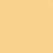 3 x 3  3 Coral Solid Color Filter