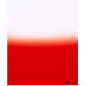 P665 Graduated Fluorescent Red 2 Resin Filter