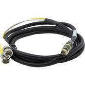 S Video To Dual BNC Cable