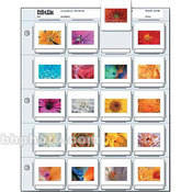 Archival Storage Page for Slides, 35mm (2x2 ), Holds 20 Slides, Top Load, Heavyweight (8 Mil), Clear Back (Binder Only)   500 Pack