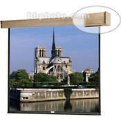 72805 Designer Electrol Cambridge Motorized Projection Screen (84 x 84 )
