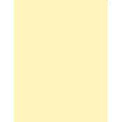 3 x 4  1 4 Coral Solid Color Filter
