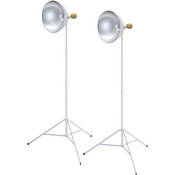 Deluxe Portable 2 Light Kit (120VAC)