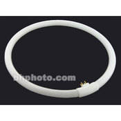 Fluorescent Round Accent Lamp   32 watts Daylight   12    for  THE BOX