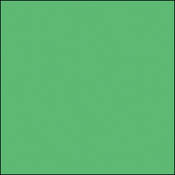 Permacolor Glass Filter   Light Yellow Green   8 1 4  Round