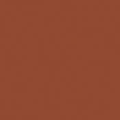 GC1557  #1557 CTO  Neutral Density (ND) .6 Cine Filter (20x24  Sheet)
