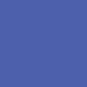 #3220 Double Blue CTB Fluorescent Sleeve T12 (48 )