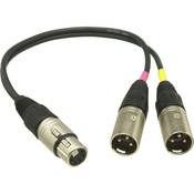 ACS5 5 pin XLR Female to Dual XLR Male Y Cable for MKH418S and MKE44P Microphones (6 inches) (15.24cm)