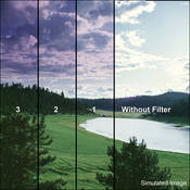 4 x 5  1 Grape Soft Edge Graduated Filter (Vertical Orientation)