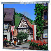 79950 Model B Manual Projection Screen (50 x 50 )