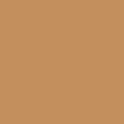 E Colour #207 CT Orange   .3 Neutral Density (48 x25  Roll)