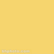 Permacolor Glass Filter   Yellow   5 1 4  Round