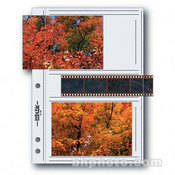 Premium Series M Archival Storage Page for Prints   3.5x5.25    Holds 4 Prints & Strip of 4 Negatives   25 Pack