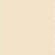 #3443 1 4 Straw CTS Fluorescent Sleeve T12 (48 )