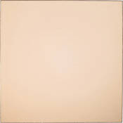 P695 Champagne Resin Filter