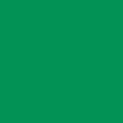 Widetone Seamless Background Paper (53  x 12yd, #35 Holly)