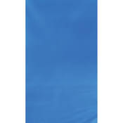 #022 Muslin Background (10x12 , Blue)