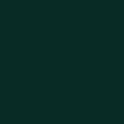 Roscolux #126 Filter   Green Cyc Silk   20x24  Sheet