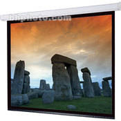 Targa Motorized Projection Screen (9x12 )