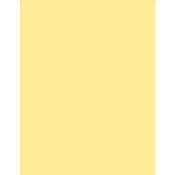 3 x 4  1 2 Coral Solid Color Filter